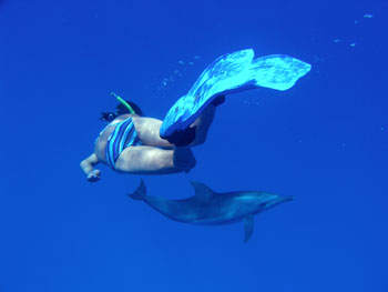 Wandy swimming with Dolphins at Cocos Island, Australia - photographed by underwater australasia director and founder Tim Hochgrebe