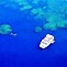 Reef Encounter