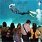 Sea World