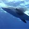 Minke Whales