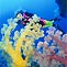 Mike Ball Dive Expeditions