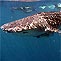 King's Ningaloo Reef Tours