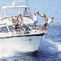Cairns Dive Centre