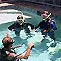 Australian Divemaster Academy