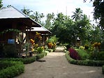 Immaculate gardens at Two Fish, Bunaken, Sulawesi, Indonesia