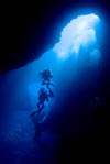 Into the Blue