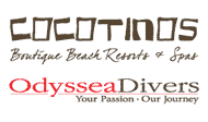 6 Days/5 Nights Cocotinos Dive Package for One Diver in Manado, Sulawesi