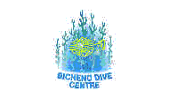 Bicheno Dive Centre logo