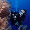 Christmas Island Wet'n'Dry Adventures