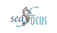 SeaFocus logo